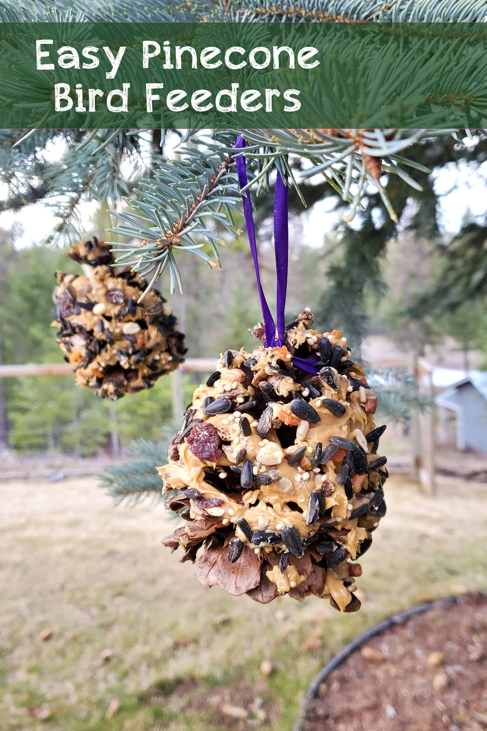Creative pinecone bird feeders kids activity