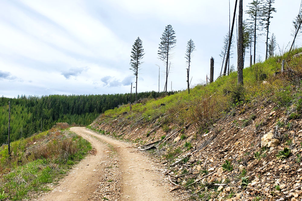 Bunco off-road trails for RZR dirtbikes and ATVS near Coeur d'Alene Idaho
