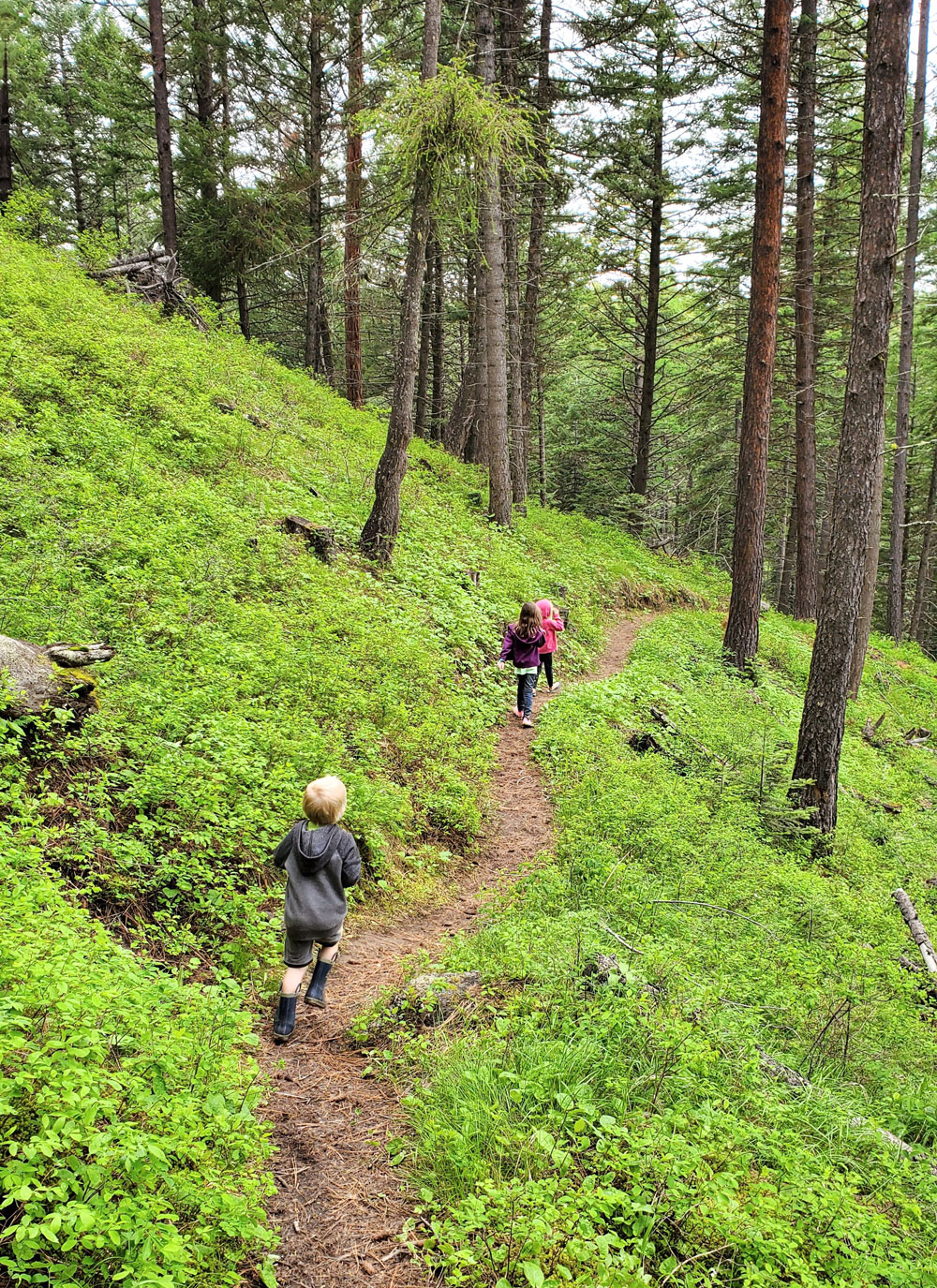 Winchester Lake State Park easy family hikes