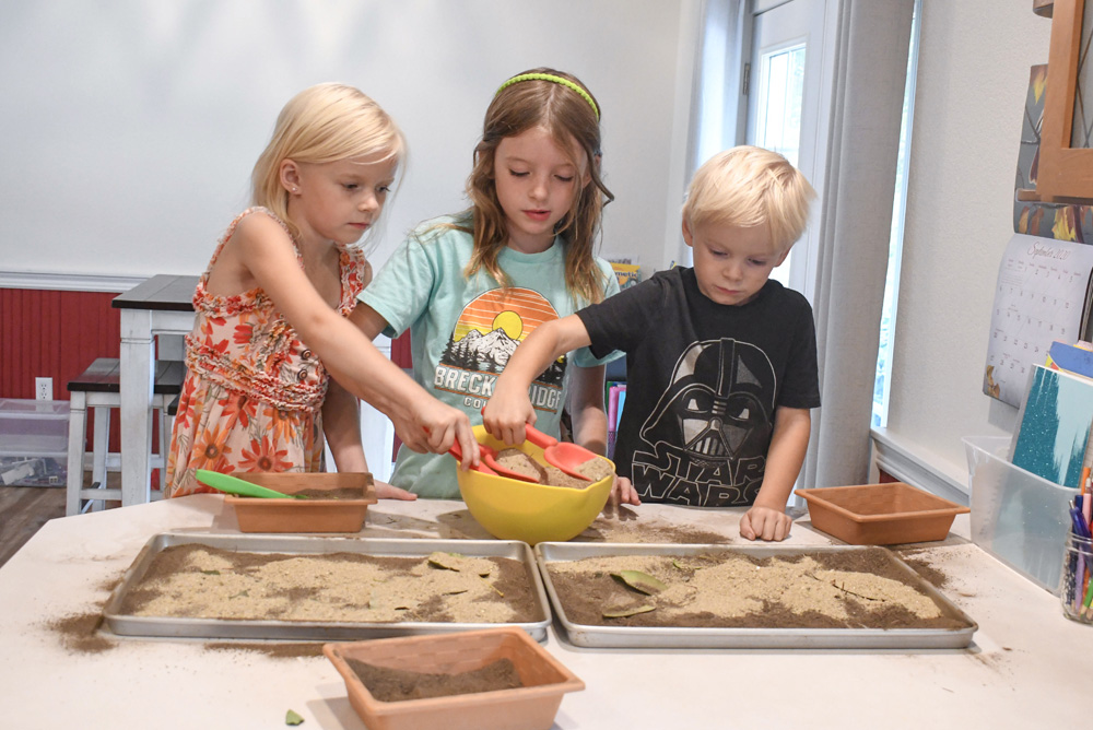 Creative kids fossil science activity