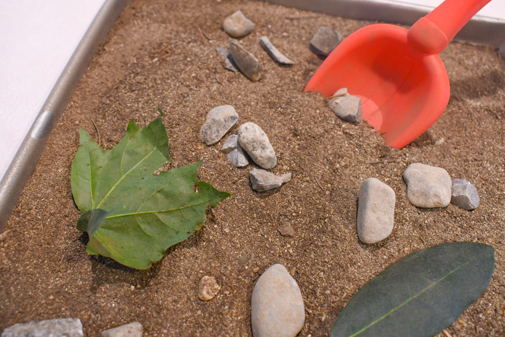 DIY sensory kids homeschool science activity about fossils