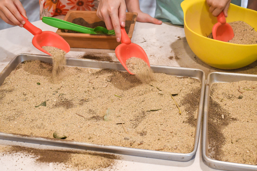 Teaching kids about fossils creative homeschool activity