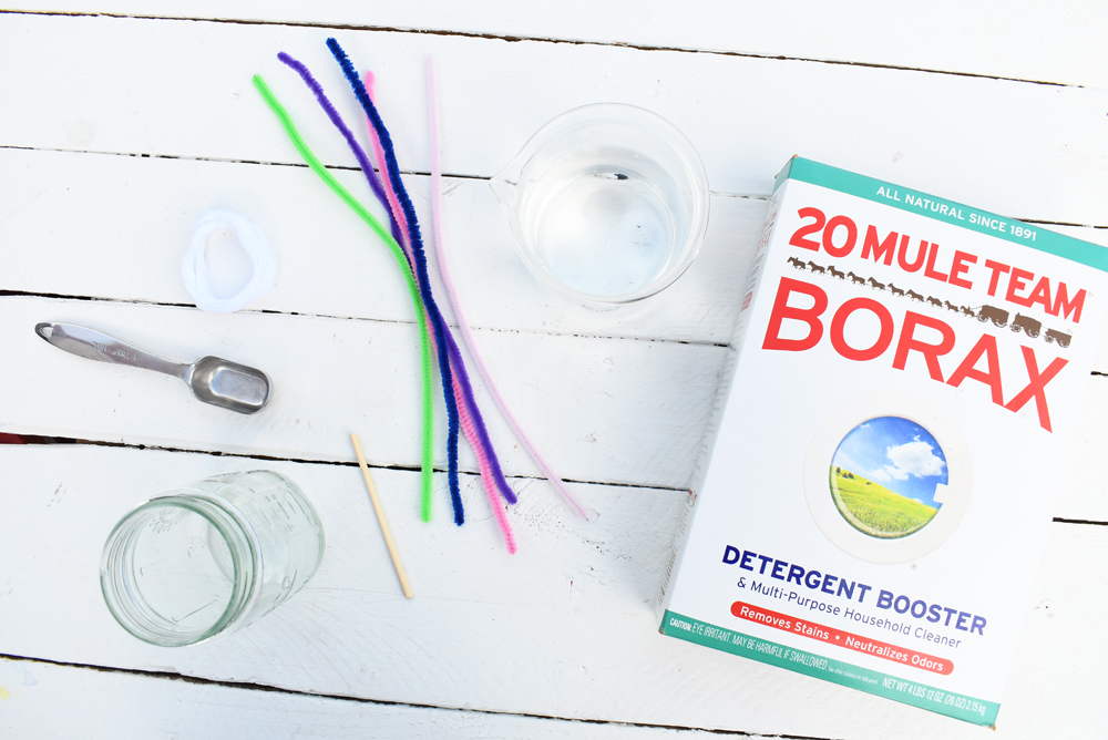 Easy DIY borax crystals kids science activity