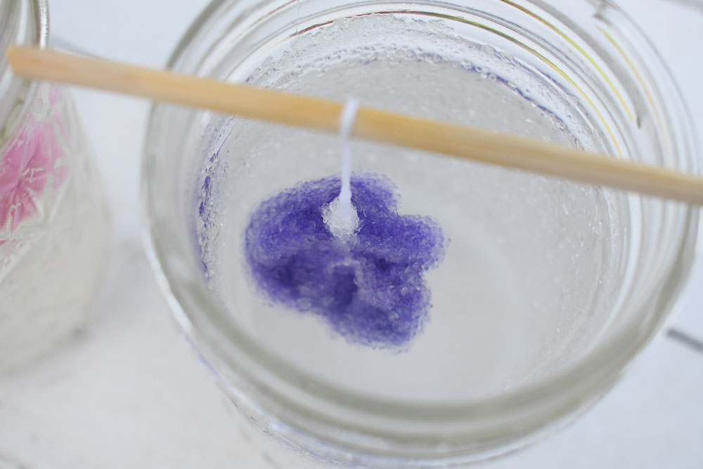 Creative kids science activity