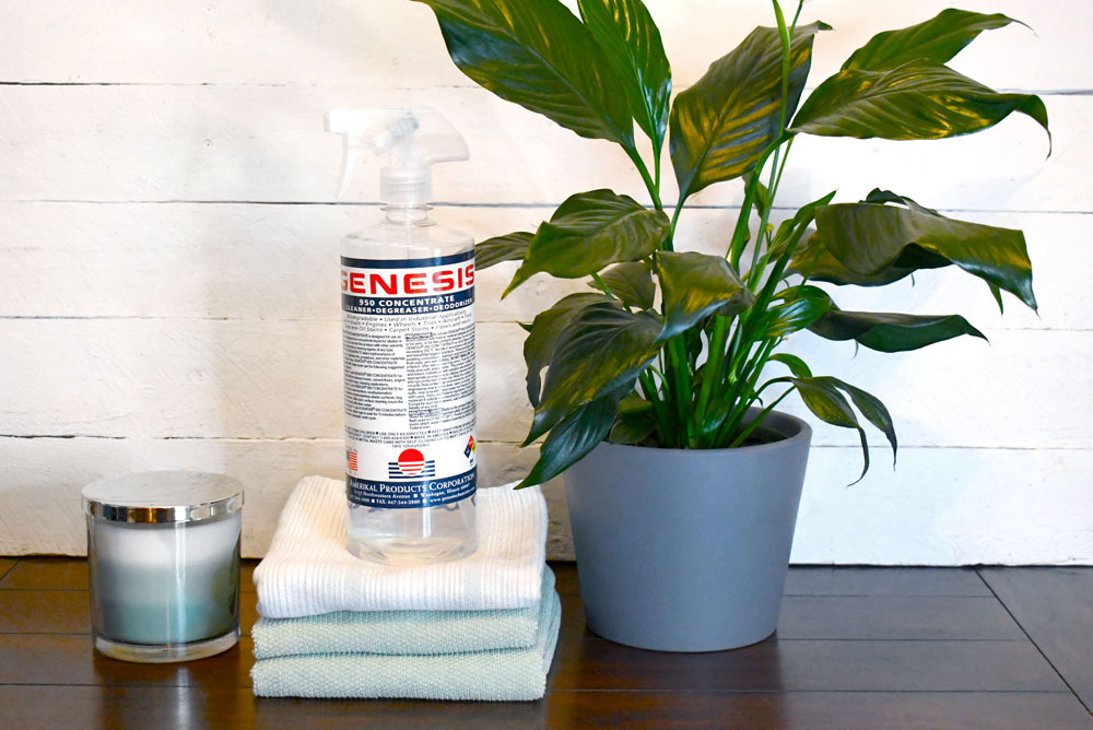 Spring cleaning ideas and organizing tips Genesis 950 cleaner