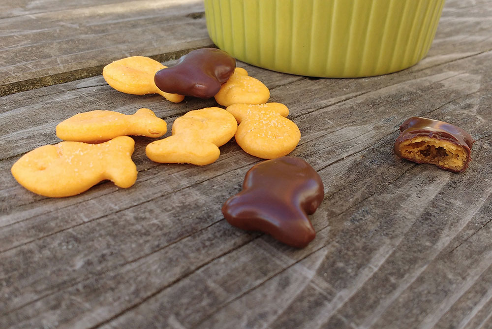 kids snacks chocolate and cheddar crackers