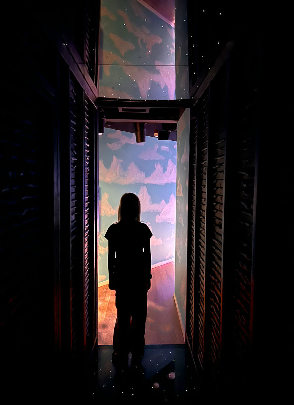 mysterious hallways meow wolf