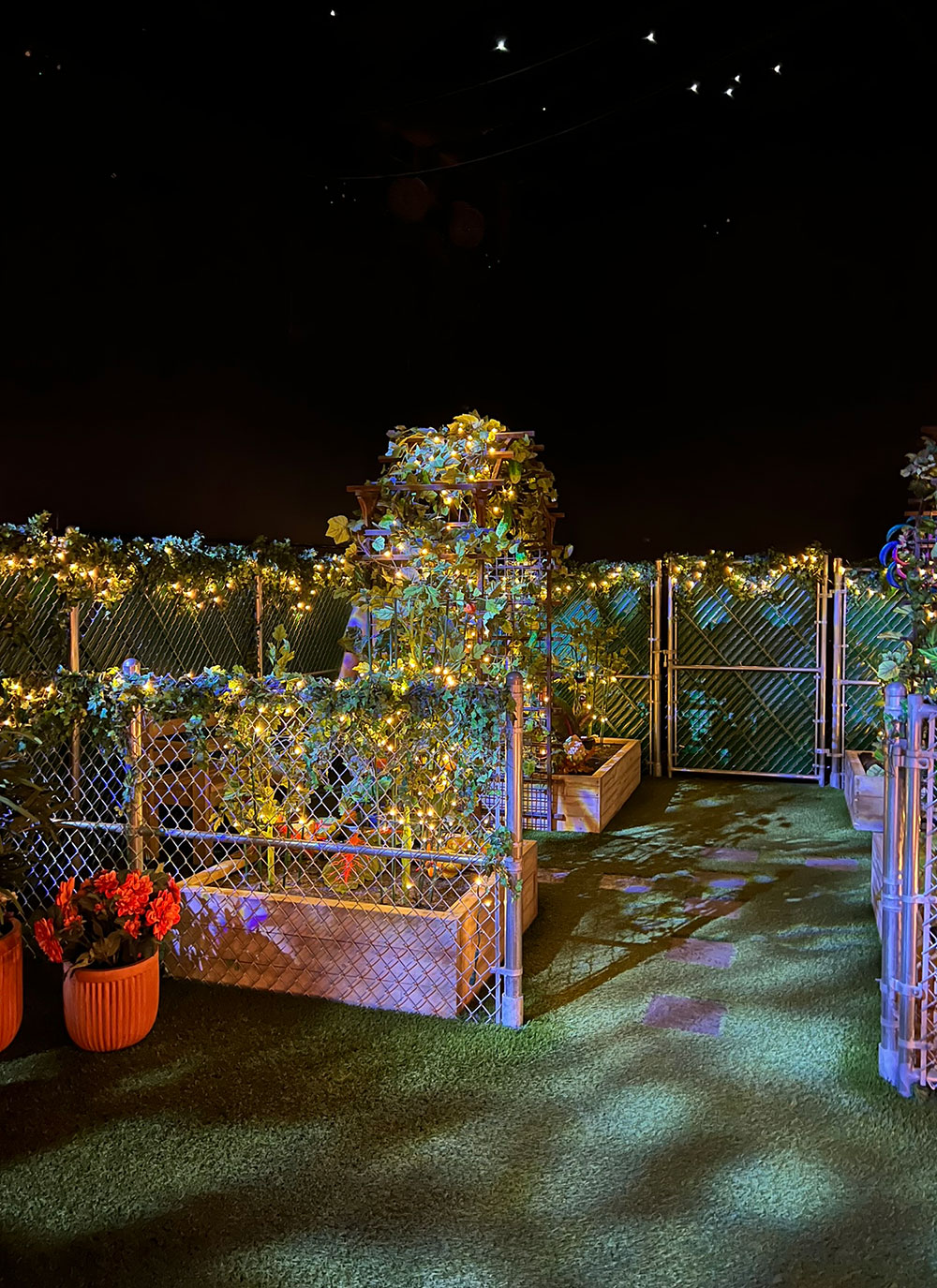 strange front yard garden the real unreal