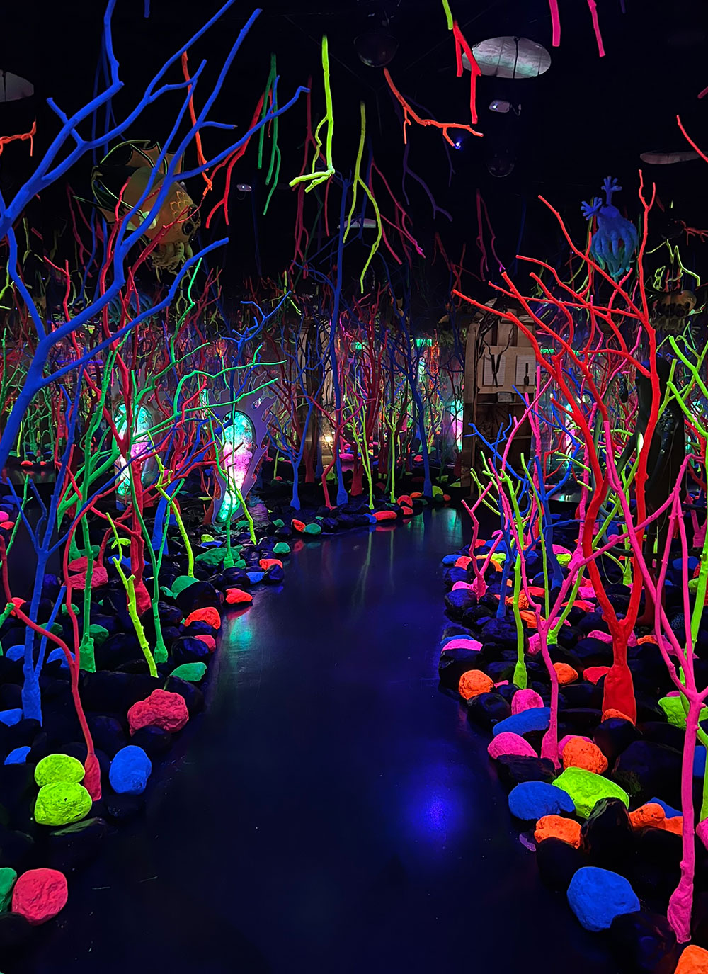 neon forest strange art meow wolf