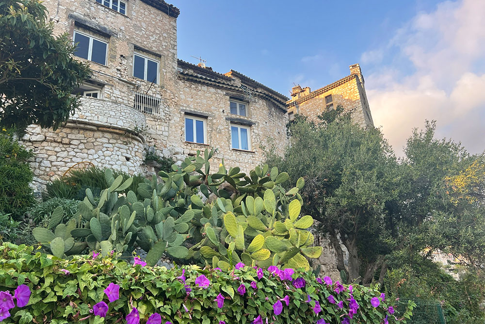 exploring Tourrettes-sur-Loup morning glories
