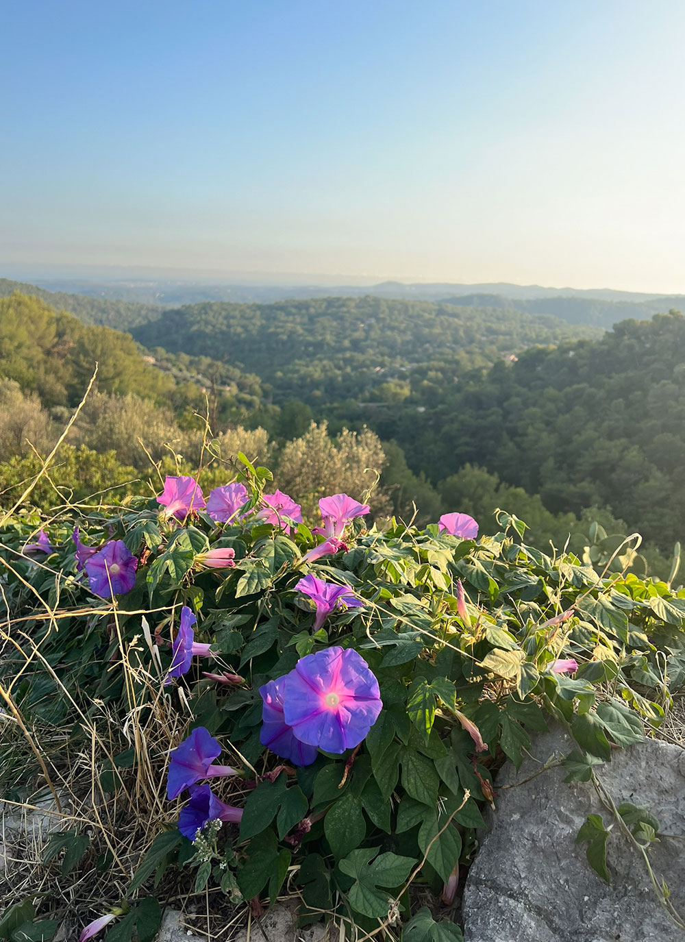 beautiful view Tourrettes-sur-Loup French village