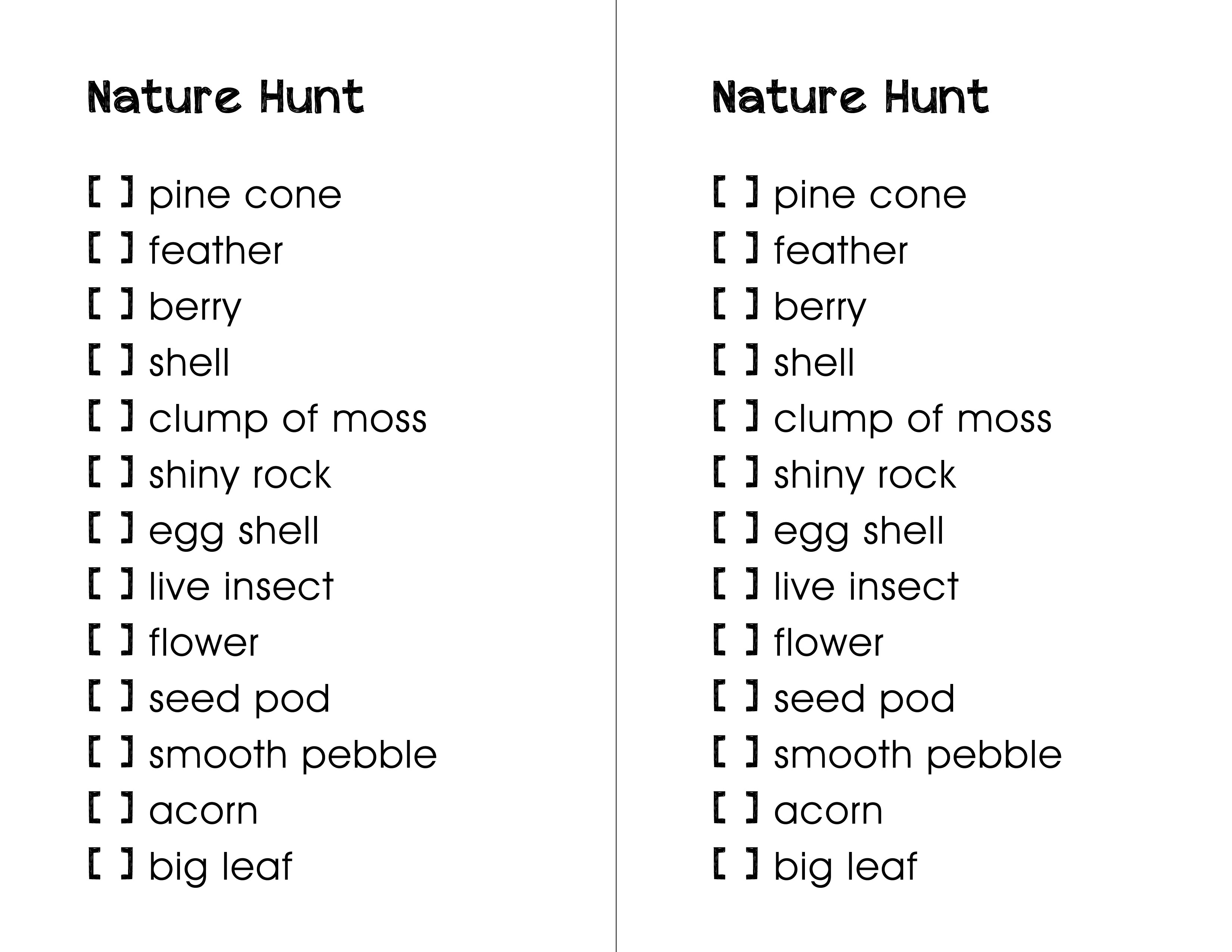 Nature hunt scavenger list homeschool kids activity
